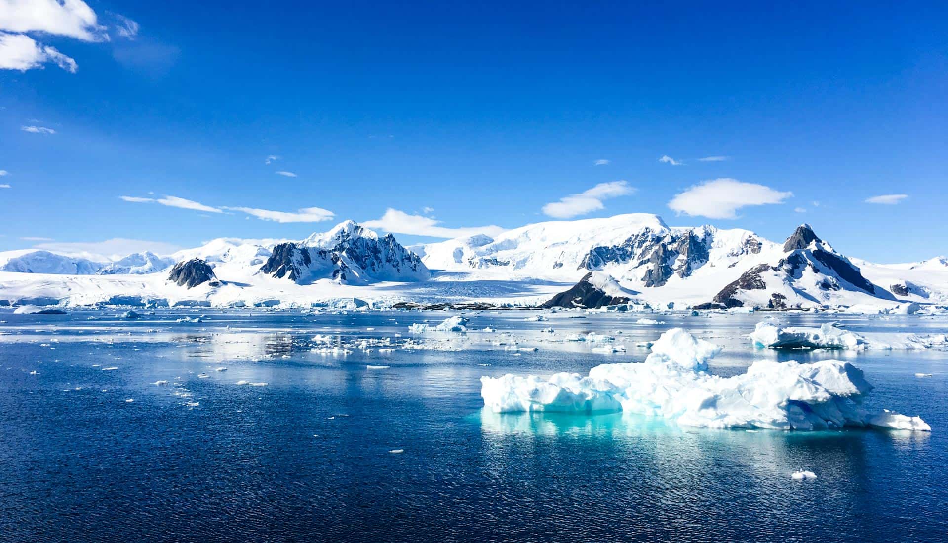 Icy blue water and cliffs in the Patagonian Fjords.